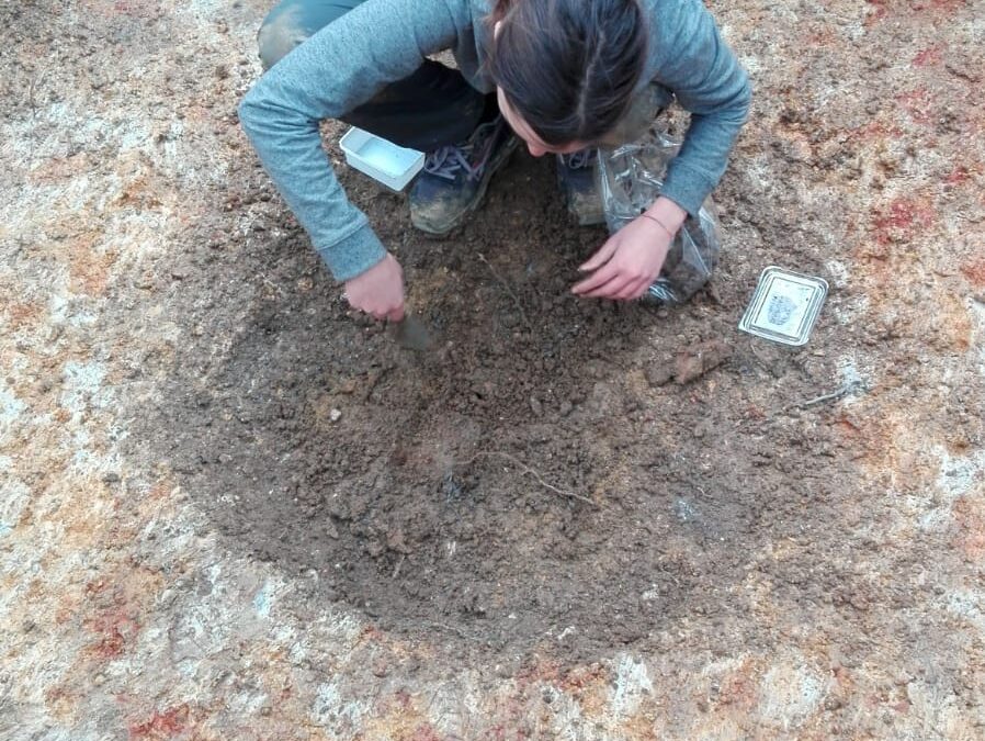 Riprendono le indagini di garden archaeology alla Certosa di Calci!