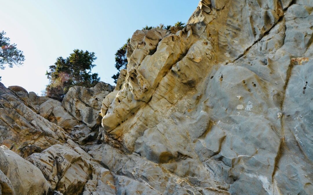 Ricognizione dei fronti di cava nell’area dei Monti Pisani (PI) e di Calafuria (LI)